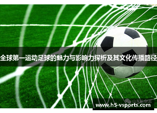 全球第一运动足球的魅力与影响力探析及其文化传播路径