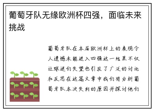 葡萄牙队无缘欧洲杯四强，面临未来挑战
